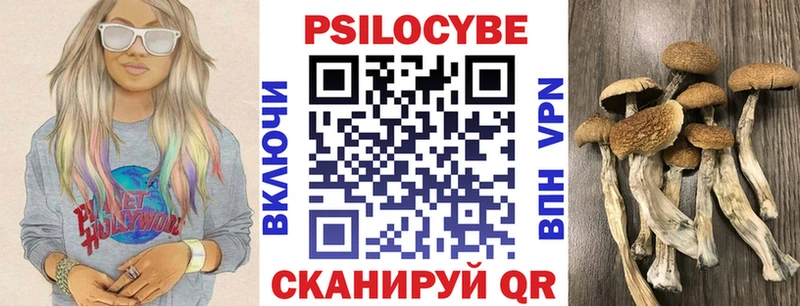 Псилоцибиновые грибы Psilocybe  где продают наркотики  Курильск 